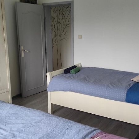 Bischwiller Appartement Les Mirabelles Entre Strasbourg Et Haguenau מראה חיצוני תמונה
